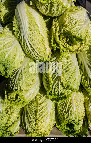Napa cabbage for sale at a vendor's stall at the Santa Barbara farmer's market vegetables. Napa or nappa cabbage (Brassica rapa subsp. pekinensis or B