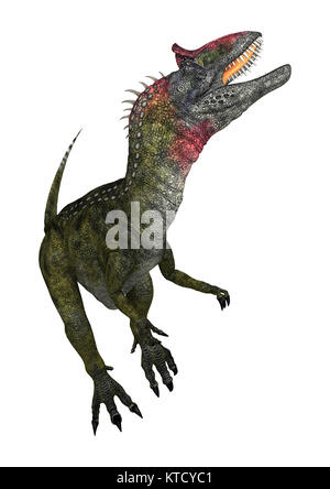 3D Rendering Dinosaur Cryolophosaurus on White Stock Photo