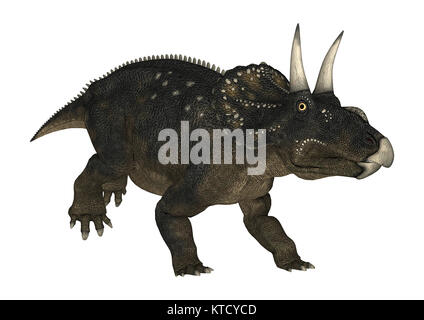 3D Rendering Dinosaur Diceratops on White Stock Photo