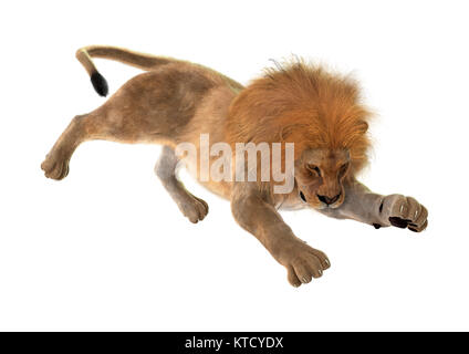 3D Rendering Male Lion on White Stock Photo
