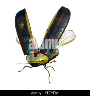 3D rendering of a lightning bug isolated on white background Stock ...