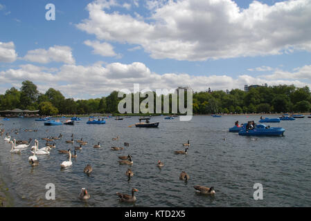 London, United Kingdom - June 6, 2015: Boating on the Serpentine in Hyde Park, London Stock Photo