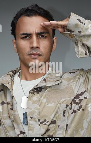 Diverse Male Soldier Saluting Stock Photo - Alamy
