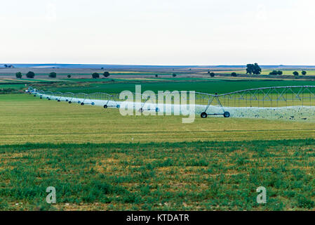 Agricultural irrigation system watering corn field Stock Photo