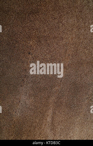 Dark brown leather texture. Stock Photo