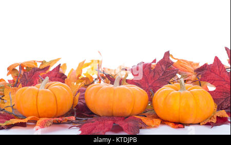 Three mini pumpkins on a white background Stock Photo