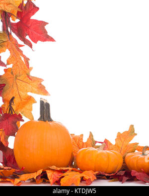 Colorful autumn decoration on a white background Stock Photo