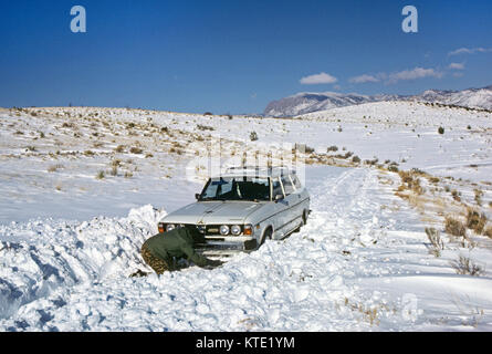 A turkey hunter stranded in a freak spring  snowstorm in the Black Range Mountains of southern New Mexico. Stock Photo