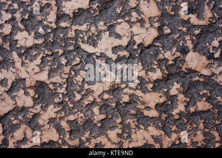 Black rose texture of marble, background, floor of old, antique, natural stone in Italy Stock Photo