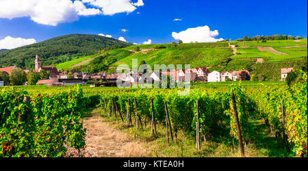 Impressive Kayserberg village,view with vineyards,Alsace,France. Stock Photo