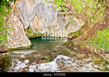 Akilles's springs in gorge Acheron  river , Greece. Stock Photo