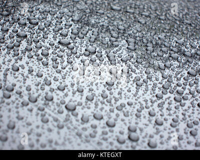 water dew droplets on silver metallic paint background. rain water droplets on car boot. weather concept Stock Photo
