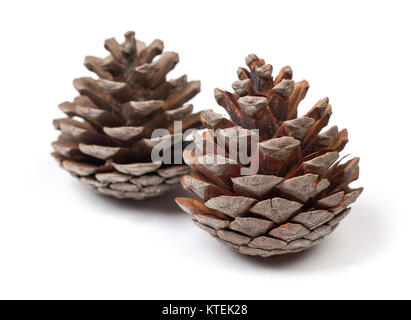 Beautiful pine cones isolated on white background close up Stock Photo