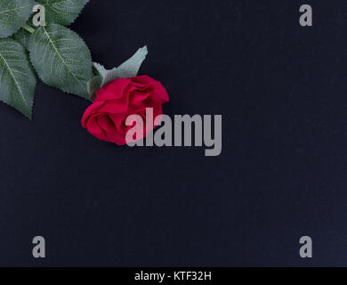 Overhead view of a single red rose on dark stone background Stock Photo