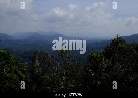 Scenic view of the jungles of Taman Negara in Malaysia Stock Photo