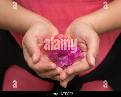 Woman holding lilac and pink petals in her heart shaped hands Stock Photo