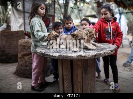 Gaza. 26th Dec, 2017. Palestinian children play with two-month-old lion cubs at a zoo in the southern Gaza Strip city of Rafah, on Dec. 25, 2017. The Palestinian zoo owner Ahmad Joma'a, has put three lion cubs for sale, fearing he won't be able to afford to feed them as they grow. (Xinhua/Wissam Nassar)(axy) Stock Photo
