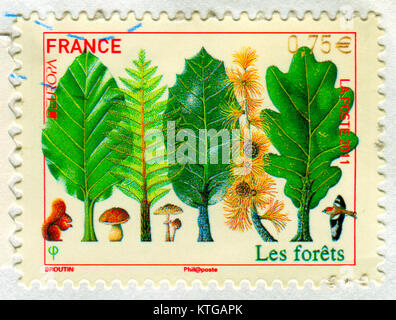 GOMEL, BELARUS, 14 DECEMBER 2017, Stamp printed in France shows image of the Forest, circa 2011. Stock Photo
