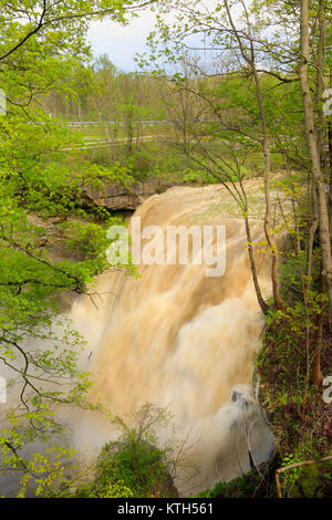 Brandywine Falls, Brandywine Gorge Trail, Cuyahoga Valley National Park, Brecksville, Ohio, USA Stock Photo