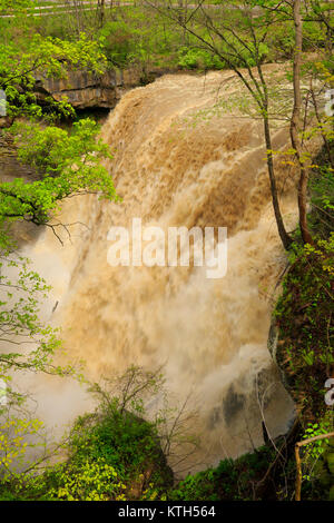 Brandywine Falls, Brandywine Gorge Trail, Cuyahoga Valley National Park, Brecksville, Ohio, USA Stock Photo