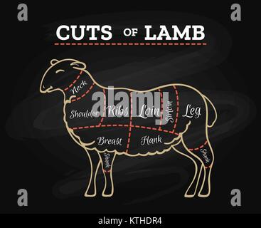 Lamb cuts chart. Sheeps or lambs meat steak butcher chalkboard scheme in retro hand drawn style vector illustration Stock Vector