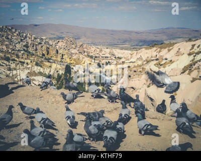 pigeons in rural mountain landscape, cappadocia, Turkey Stock Photo