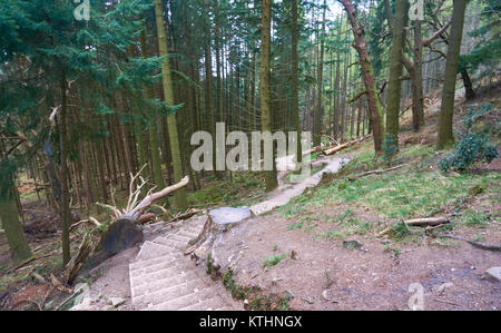 Mountain trail leading to the top of Conic Hill in the Trossachs National Park in Scottish highlands. Stock Photo