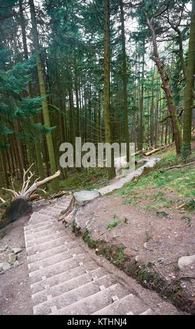 Mountain trail leading to the top of Conic Hill in the Trossachs National Park in Scottish highlands. Stock Photo