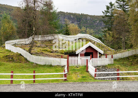 Grass turf used as roofing material on Norwegian stable Stock Photo