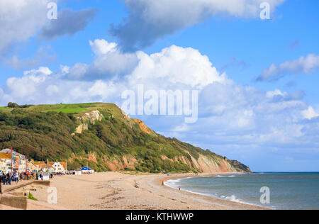 Colourful ochre and yellow cliffs along the shingle beach and coast at Seaton, Devon, in the Jurassic Coast World Heritage Site, southwest England, UK Stock Photo