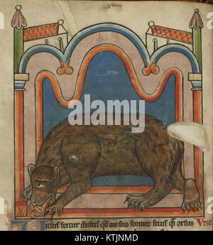 Bear licking a cub into shape   Bestiary (1230 1240), f.15v   BL Harley MS 4751 Stock Photo