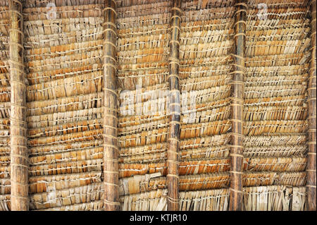 Close-up of hanging edge of thatched umbrellas on beach Stock Photo