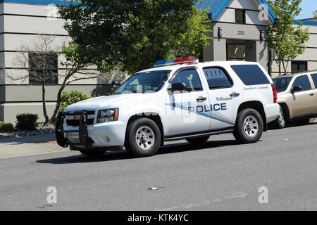 Bellingham, WA Police Chevy Tahoe (17060625907 Stock Photo - Alamy