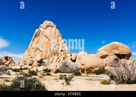 Giant Rocks in the Joshua Tree National Park, Mojave desert, California, USA Stock Photo