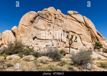 Giant Rocks in the Joshua Tree National Park, Mojave desert, California, USA Stock Photo