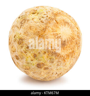 celery root path isolated Stock Photo