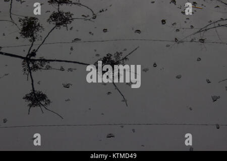 Drops. Reflection on the hood of the car. After the rain. Stock Photo