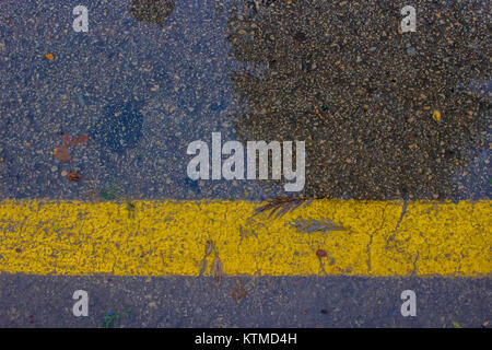 Yellow line. Yellow line, fallen leaves and shadow. Stock Photo