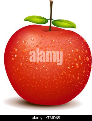 Illlustration of a fresh red apple Stock Vector