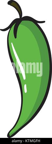 illustration of a green chili on a white background Stock Vector