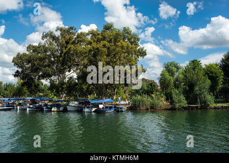 Boats tied to shore under a big green tree on lake with green reeds under blue skies with fluffy white clouds Stock Photo