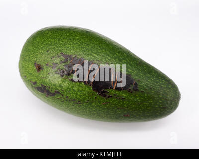 Avocado scab 2017 D Stock Photo - Alamy