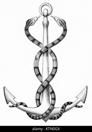 Engraving of two snakes entwined around an anchor. From an original engraving in Outlines of Zoology by Thomson, 1906 Stock Photo