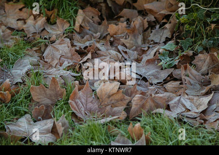 Finsbury Park. London, UK. 28th Dec, 2017. Frost covered leaves lie in Finsbury Park after a cold night in the capital. Credit: Dinendra Haria/Alamy Live News Stock Photo