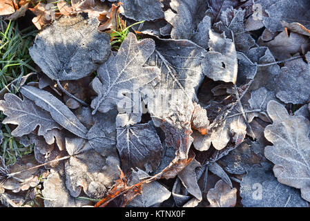 Finsbury Park, London, UK. 28th Dec, 2017. Frosty morning in Finsbury Park, London. Credit: Matthew Chattle/Alamy Live News Stock Photo