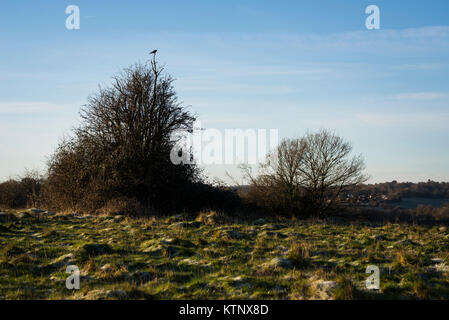 Greater London, UK. 28th Dec, 2017. UK Weather. Freezing cold and clear start to a winters day at Farthing Downs, in the South London Borough of Croydon, near the northern tip of the North Downs. Temperatures have plummeted and parts of the country are covered in snow, causing icy driving conditions and widespread transport delays throughout the UK. Credit: Francesca Moore/Alamy Live News Stock Photo