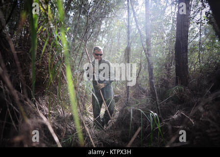 HOMESTEAD AIR RESERVE BASE, FLORIDA - Lt. Col. Tom Keany, a pilot with the 101st Rescue Squadron, moves through the swamp during  a Combat and Water survival training course at Homestead Air Reserve Base, Florida January 20, 2016.  During this training, aircrew members gained refresher training on using their emergency radios, tactical movements through difficiult terrain, how to build shelters, ways to build fires, and methods for evading the enemy.   (US Air National Guard / Staff Sergeant Christopher S. Muncy / released) Stock Photo