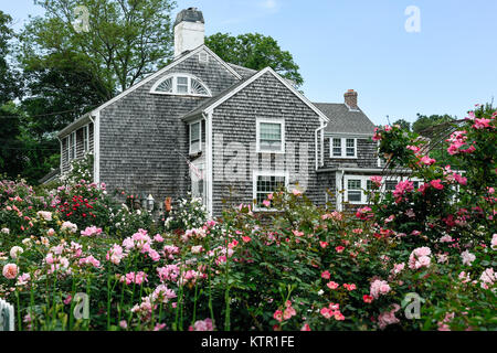 Charming New England rose garden, Cape Cod, Massachusetts, USA. Stock Photo