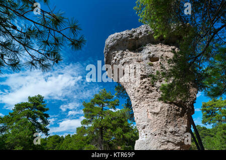 TORMO ALTO - Mushroom Rock, Ciudad Encantada, Serranía de Cuenca Natural Park, Cuenca, Castilla  - La Mancha, Spain, Europe Stock Photo