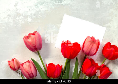 Valentine background or greeting card. Congratulatory sheet of paper with tulips on a gray stone background. Free space for your congratulations. Stock Photo